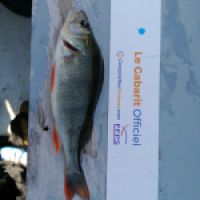 photo prise 11309 par dmz_fishing 
