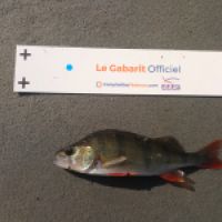 photo prise 11360 par NUGUET GUILLAUME