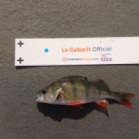 photo prise 11362 par NUGUET GUILLAUME