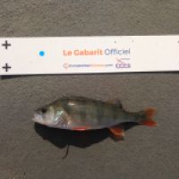 photo prise 11364 par NUGUET GUILLAUME