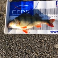 photo prise 11560 par Fred