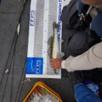photo prise 11744 par Marmier Christophe