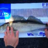 photo prise 11833 par Lio Fishing Boat 