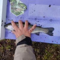 photo prise 12520 par ULfishinglifestyle
