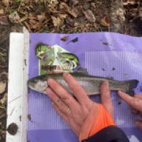 photo prise 12600 par GG Fishing