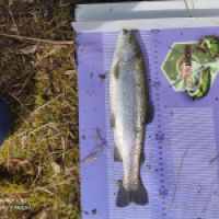 photo prise 12631 par ULfishinglifestyle