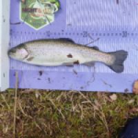 photo prise 12643 par ULfishinglifestyle
