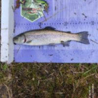 photo prise 12703 par ULfishinglifestyle