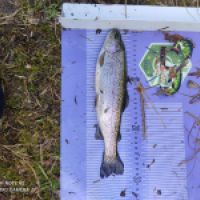 photo prise 12704 par ULfishinglifestyle