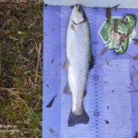 photo prise 12708 par ULfishinglifestyle