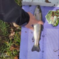 photo prise 12730 par ULfishinglifestyle
