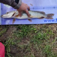 photo prise 12780 par ULfishinglifestyle