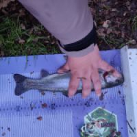 photo prise 12883 par ULfishinglifestyle
