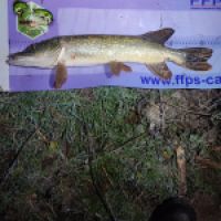 photo prise 12896 par ULfishinglifestyle