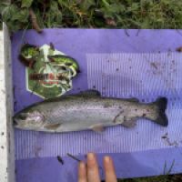 photo prise 12945 par GG Fishing