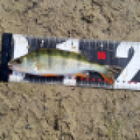 photo prise 13340 par ShadowFishing33
