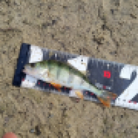 photo prise 13341 par ShadowFishing33