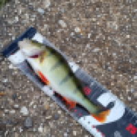 photo prise 13354 par ShadowFishing33