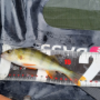 photo prise 13416 par ShadowFishing33