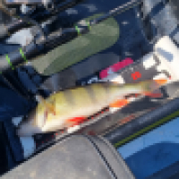 photo prise 13444 par ShadowFishing33