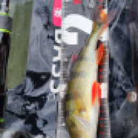 photo prise 13449 par ShadowFishing33