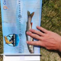 photo prise 14665 par Quentin team trout 73