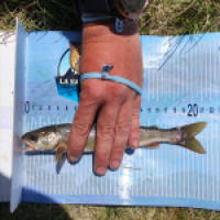 photo prise 14667 par Quentin team trout 73