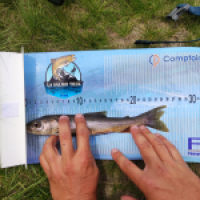 photo prise 14668 par Quentin team trout 73