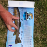 photo prise 14669 par Quentin team trout 73