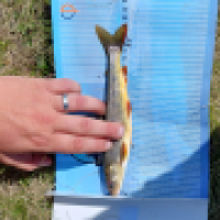 photo prise 14730 par Emilien Feron Fishing