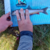 photo prise 14734 par Emilien Feron Fishing