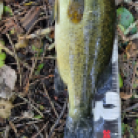 photo prise 15058 par ShadowFishing33