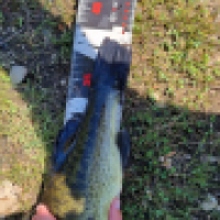 photo prise 15163 par ShadowFishing33