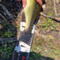 photo prise 15166 par ShadowFishing33