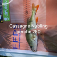 photo prise 15384 par ULfishinglifestyle