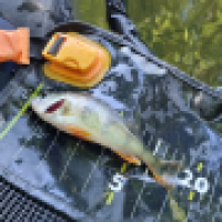 photo prise 15453 par ShadowFishing33