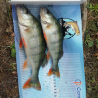 photo prise 15962 par Francois Fishing