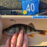 photo prise 18095 par Viadene fishing