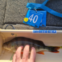 photo prise 18098 par Viadene fishing