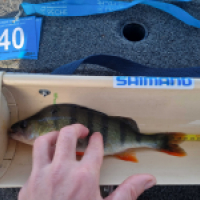 photo prise 18117 par Viadene fishing