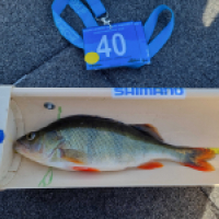photo prise 18249 par Viadene fishing