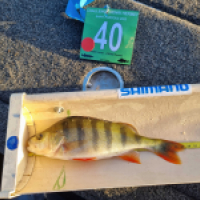photo prise 18425 par Viadene fishing