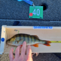 photo prise 18485 par Viadene fishing