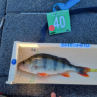 photo prise 18507 par Viadene fishing