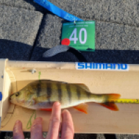 photo prise 18552 par Viadene fishing