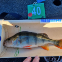 photo prise 18562 par Viadene fishing