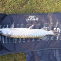 photo prise 19051 par Fishing Aveyron