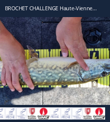 photo prise 19618 par Douric