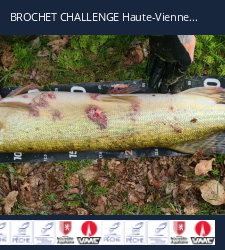 photo prise 19803 par Plopfishing
