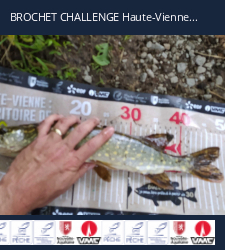 photo prise 20147 par Fabrice 
